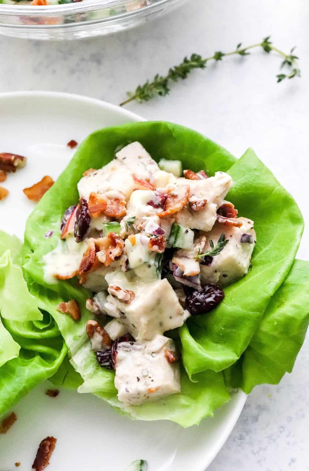 Single lettuce cup filled with creamy chunky chicken salad with chopped bacon and diced cucumber in it on a white plate with a sprig of thyme behind it. 