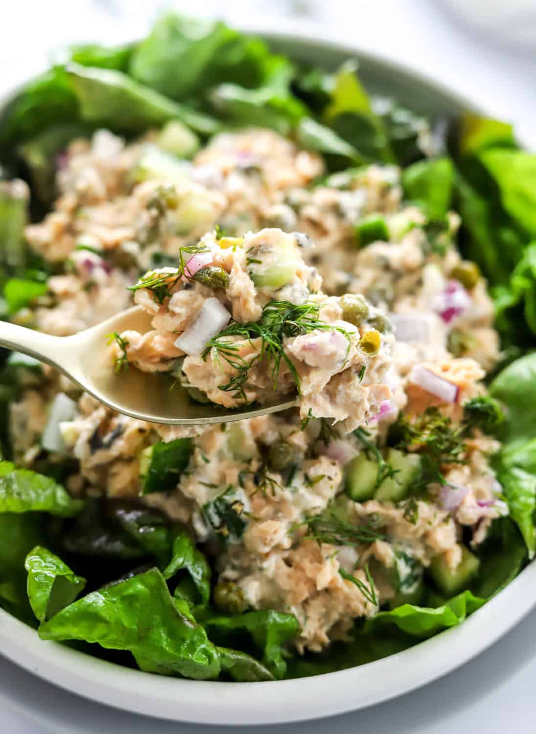 Spoon lifted over salmon salad with more chunky salad on the spoon. 