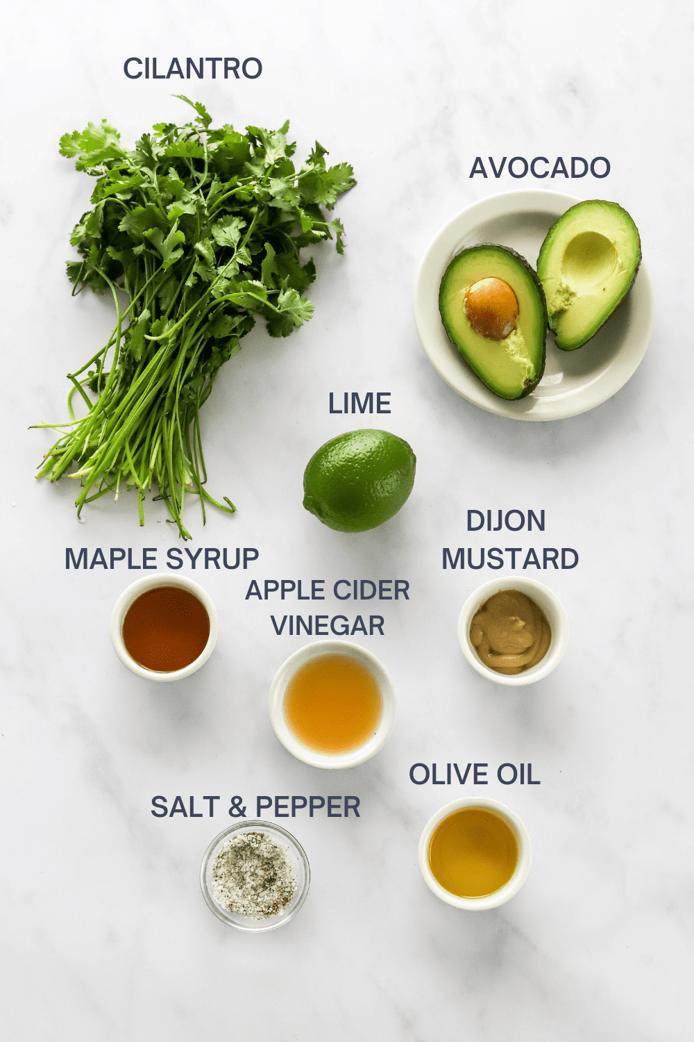 A bunch of fresh cilantro with a sliced avocado next to it and a lime, bowl of Dijon Mustard, bowl of vinegar, bowl of maple syrup and salt and pepper in front of it. 
