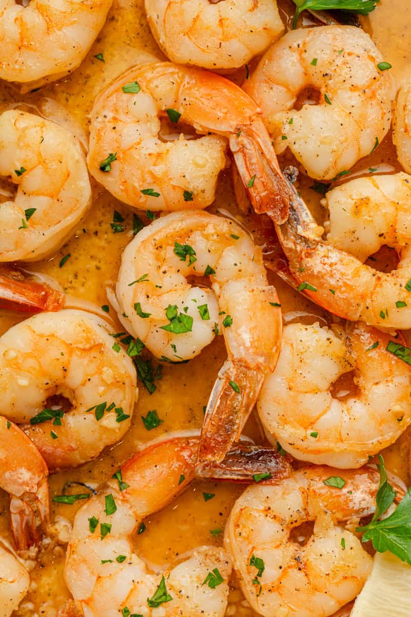 Cooked garlic scampi shrimp in pan. 