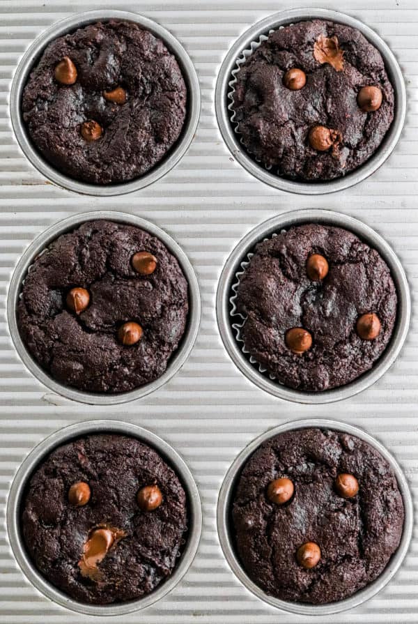 Dark chocolate baked muffins in a grey muffin pan with chocolate chips on top of the muffins