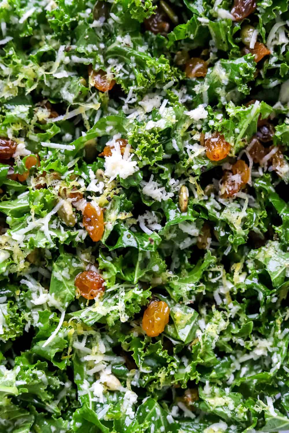 Close up of mixed greens with golden raisins and parmesan cheese mixed in. 