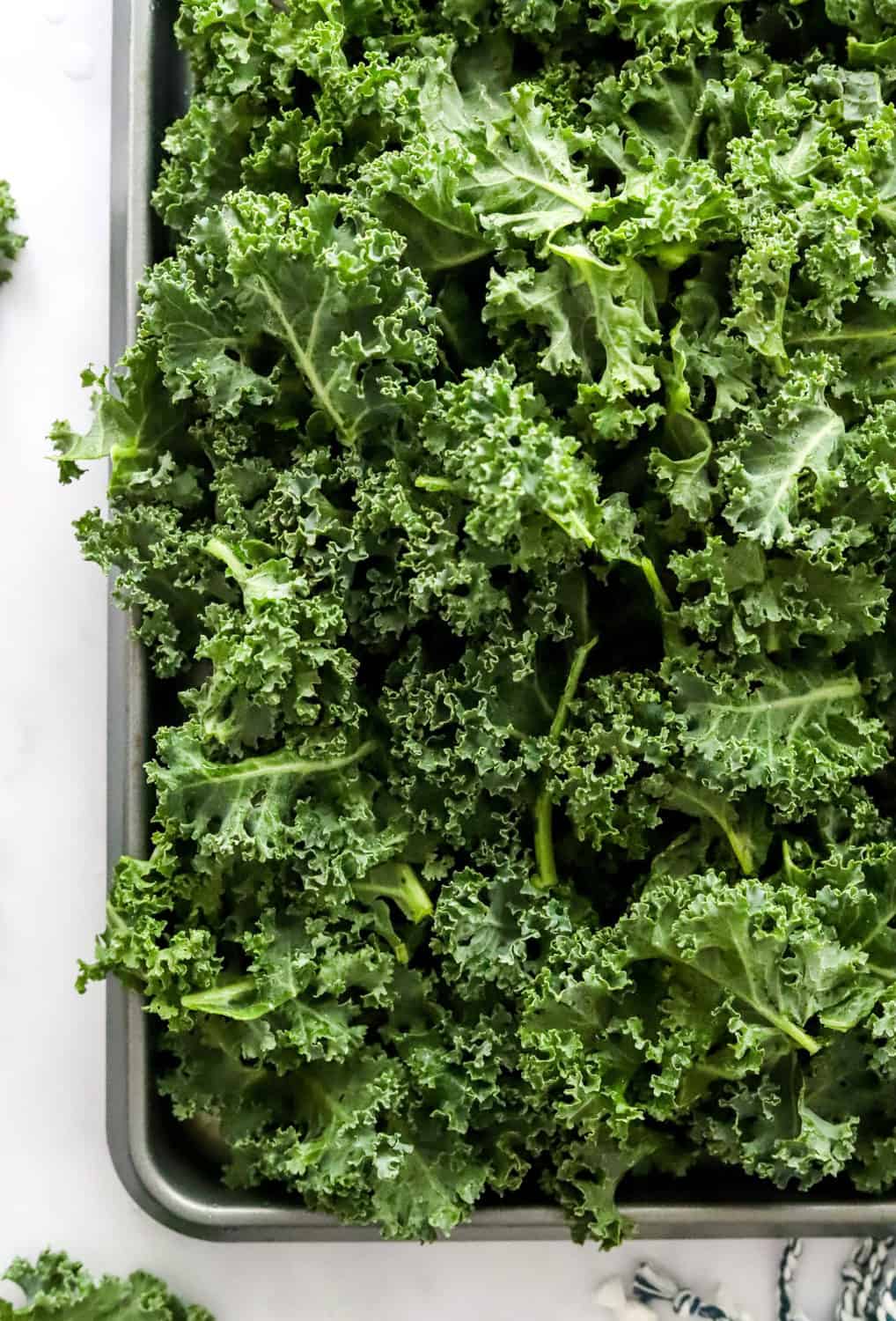 How To Store Kale To Make It Last Pinch Me Good