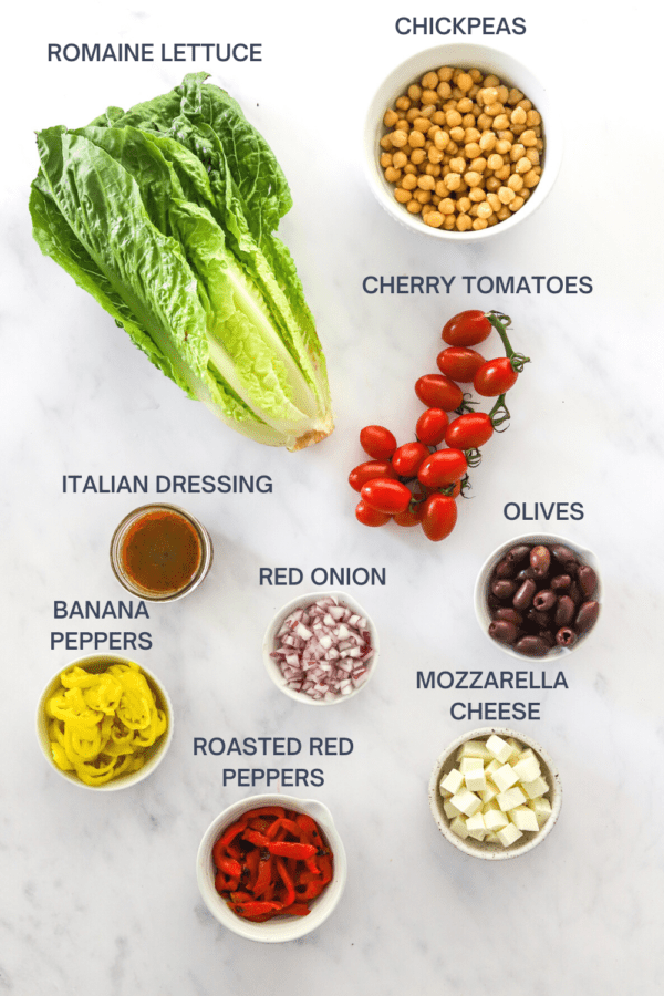 Italian salad ingredients on a white surface with labels over the top of each ingredient.