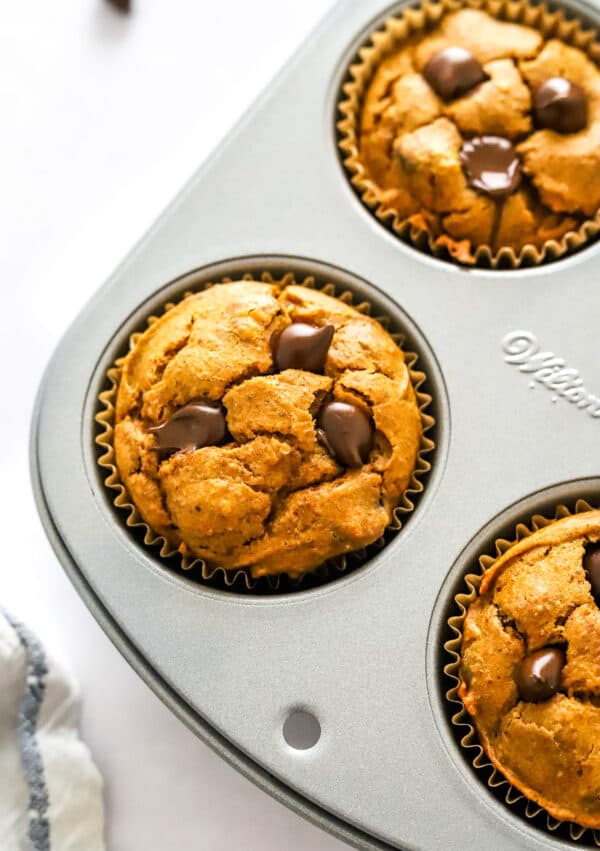 Pumpkin muffins with chocolate chips in a muffin pan.