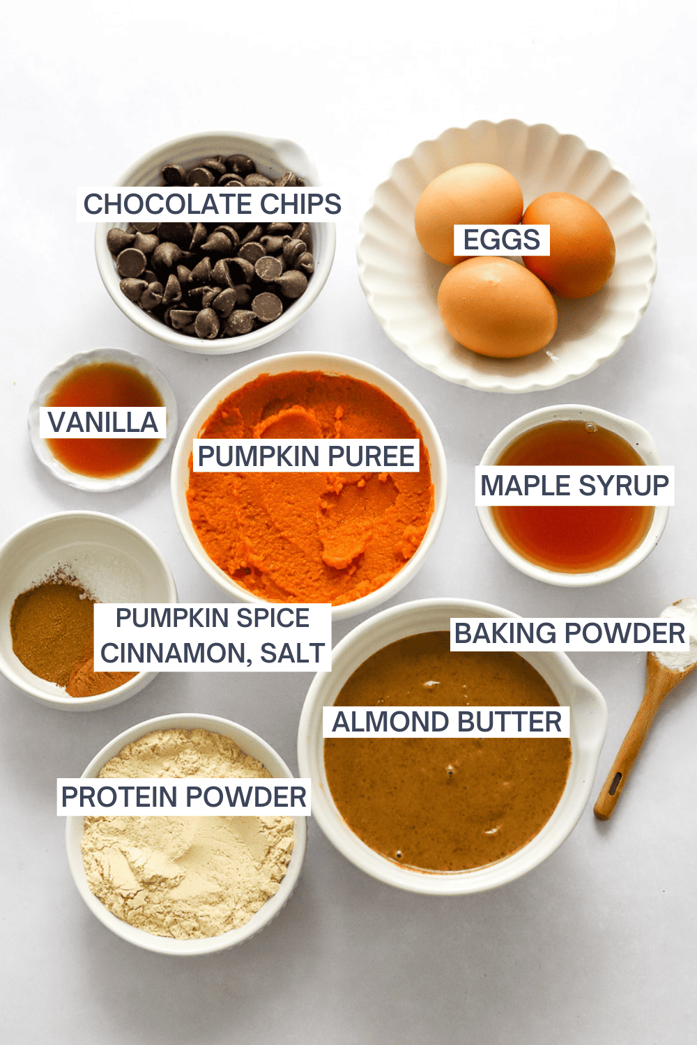 Ingredients for pumpkin muffins with labels over each ingredient.