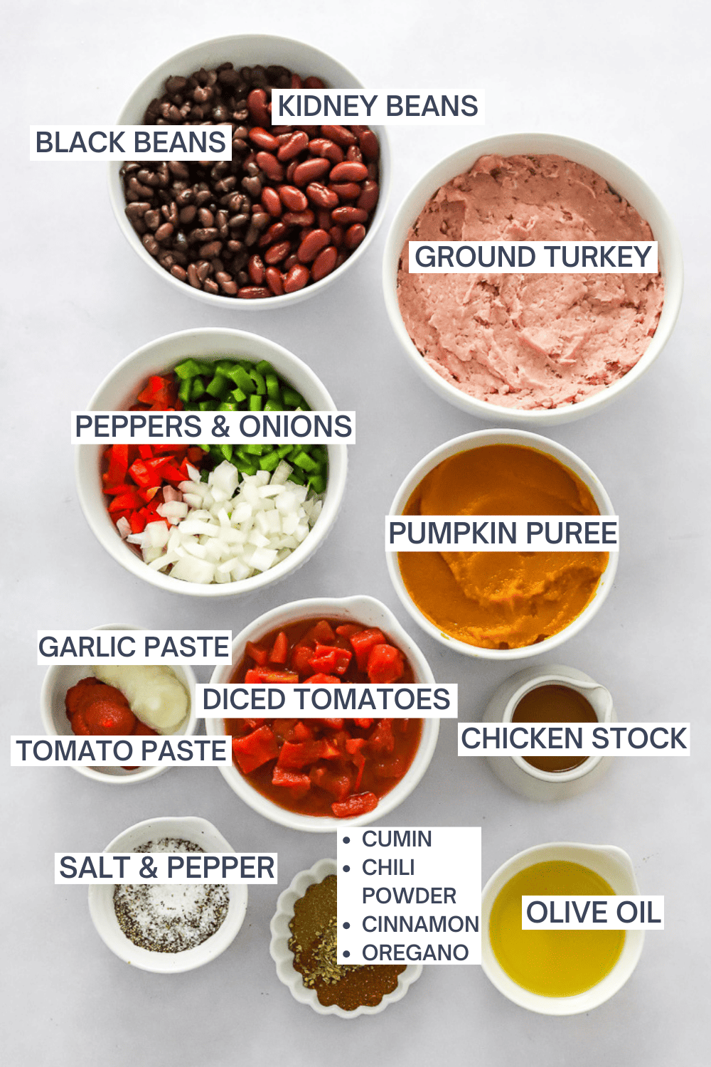 Ingredients for pumpkin turkey chili with labels over each ingredient. 