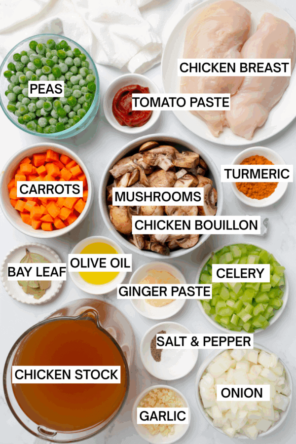 Ingredients for healthy chicken soup with labels over each ingredient.