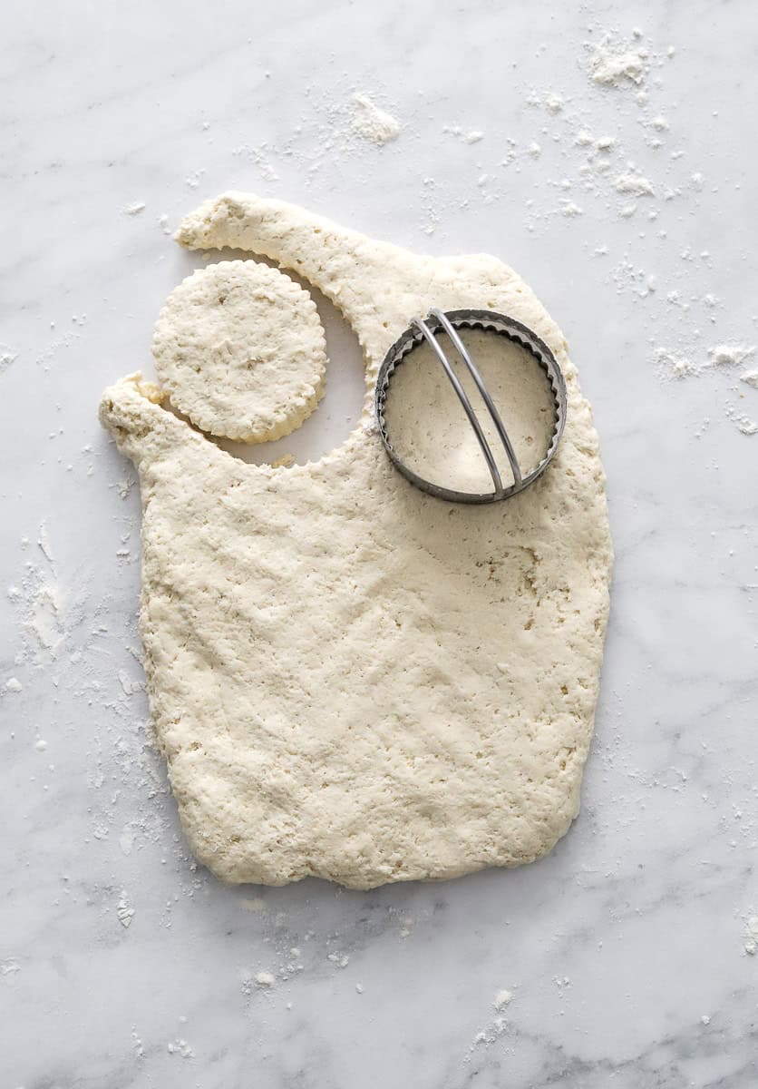 Cut biscuits from rolled out biscuit dough with a biscuit cutter on it.