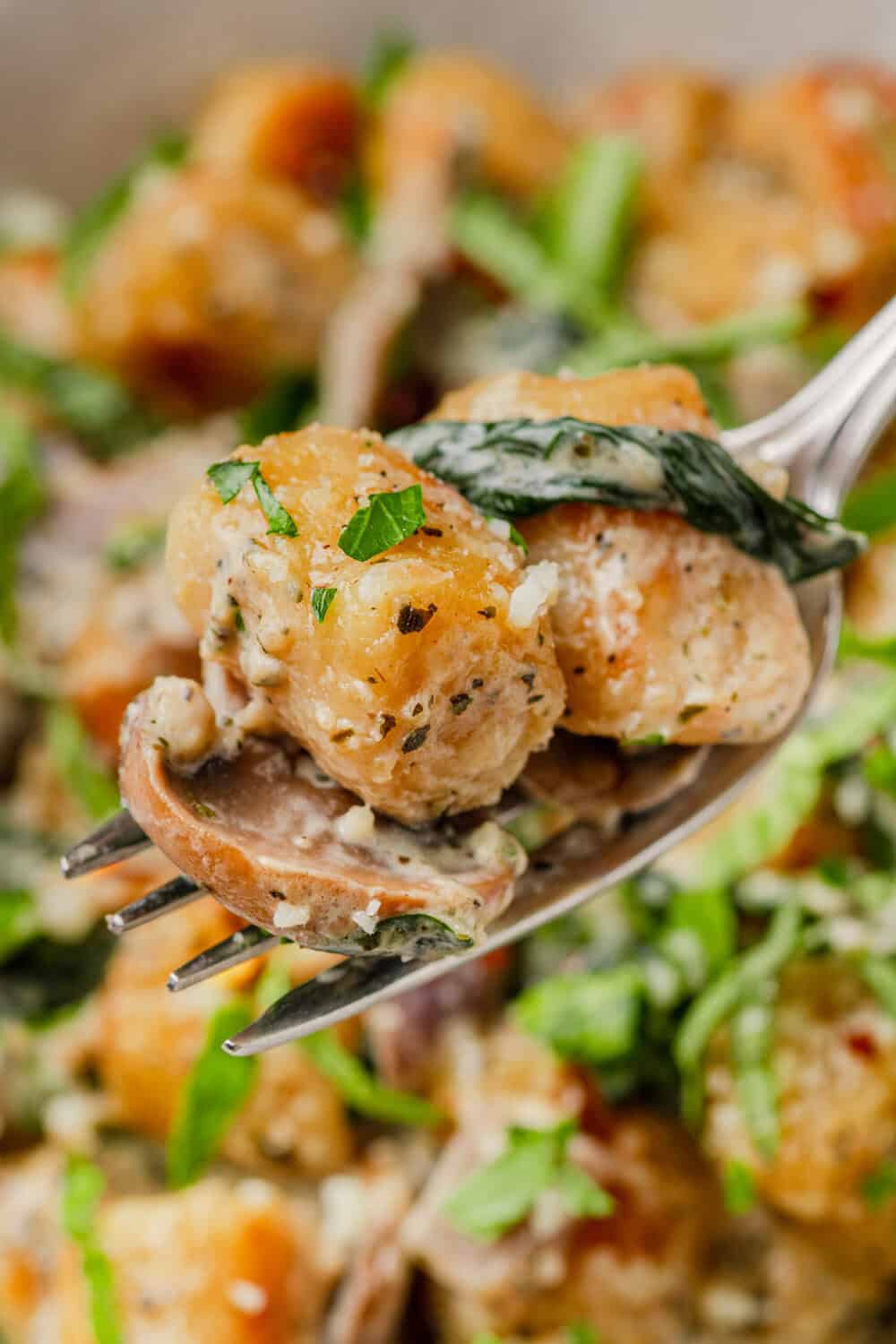 Cooked Trader Joe's gnocchi on a fork with mushroom and herbs with more in a bowl behind it. 