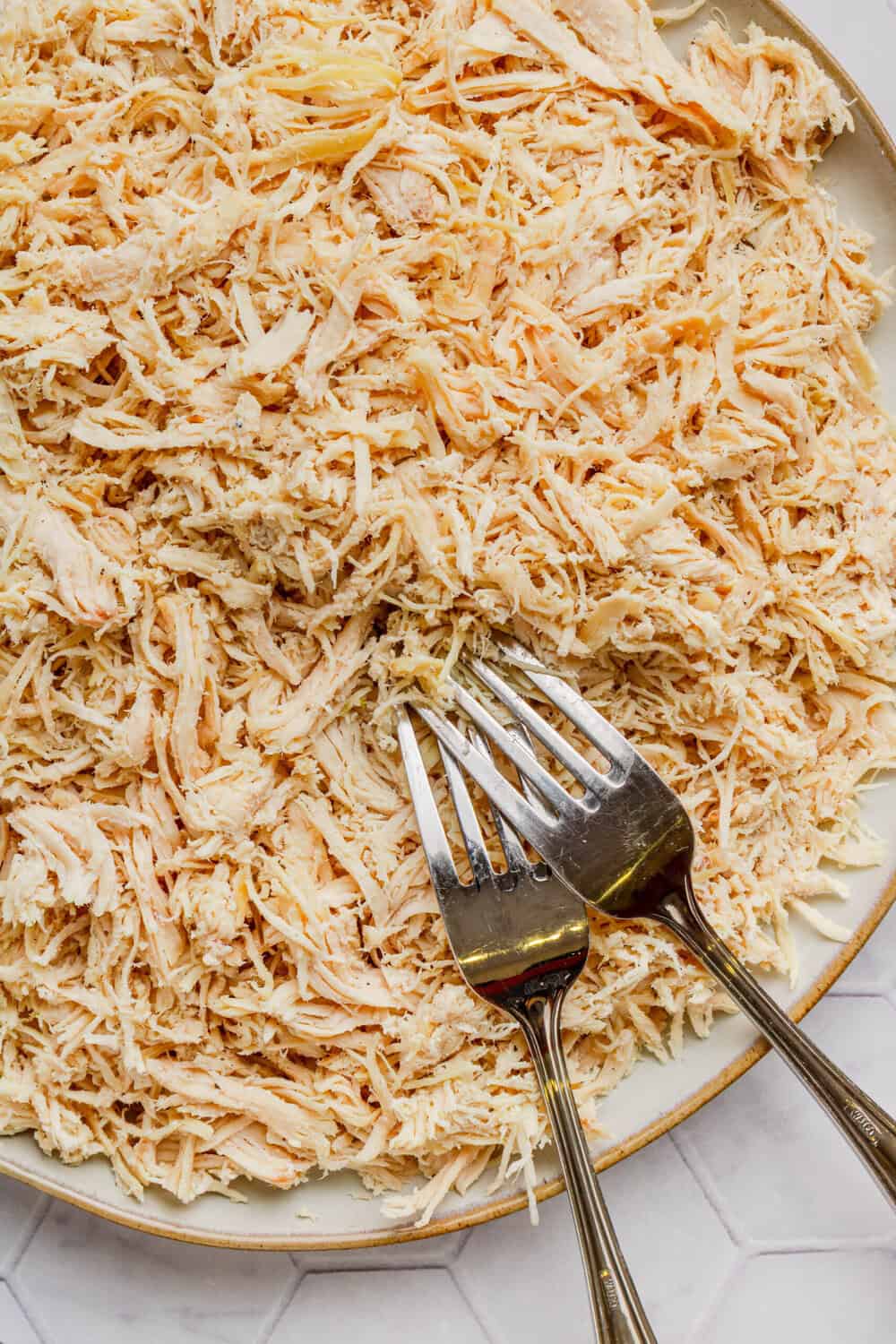 Shredded cooked chicken breast on a plate with two forks. 