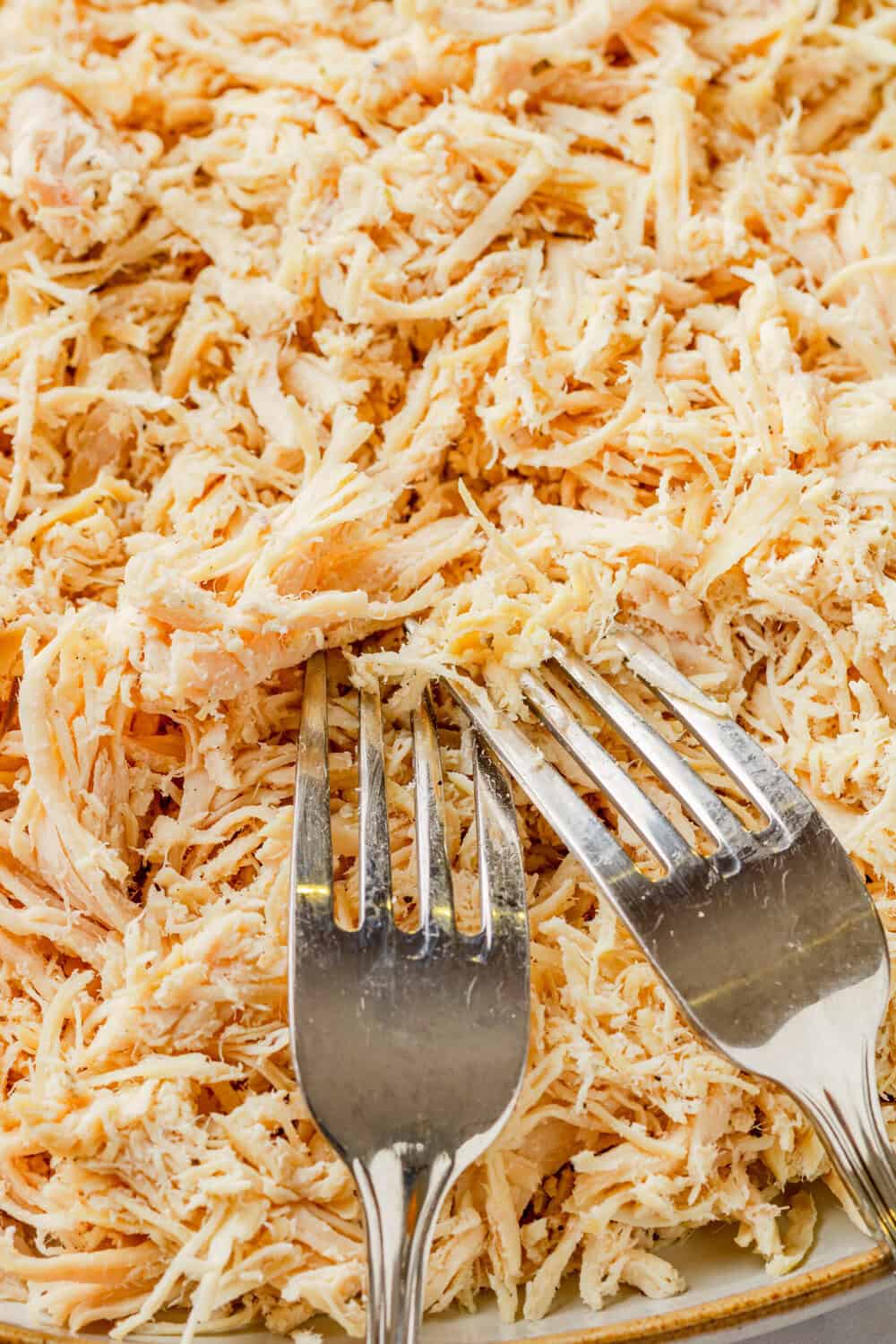 Pile of cooked shredded chicken. 